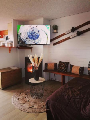 Appartement 8 couchages 45 m2 tout confort à la foux d'allos